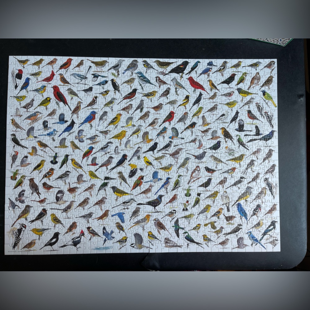 Puzzle - Picture 2 of 3